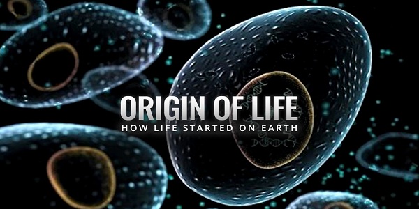 The Origin Of Life: An Islamic Perspective