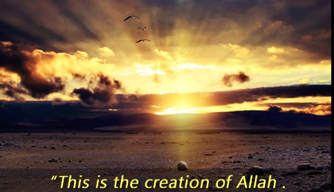 Creation of the Allah